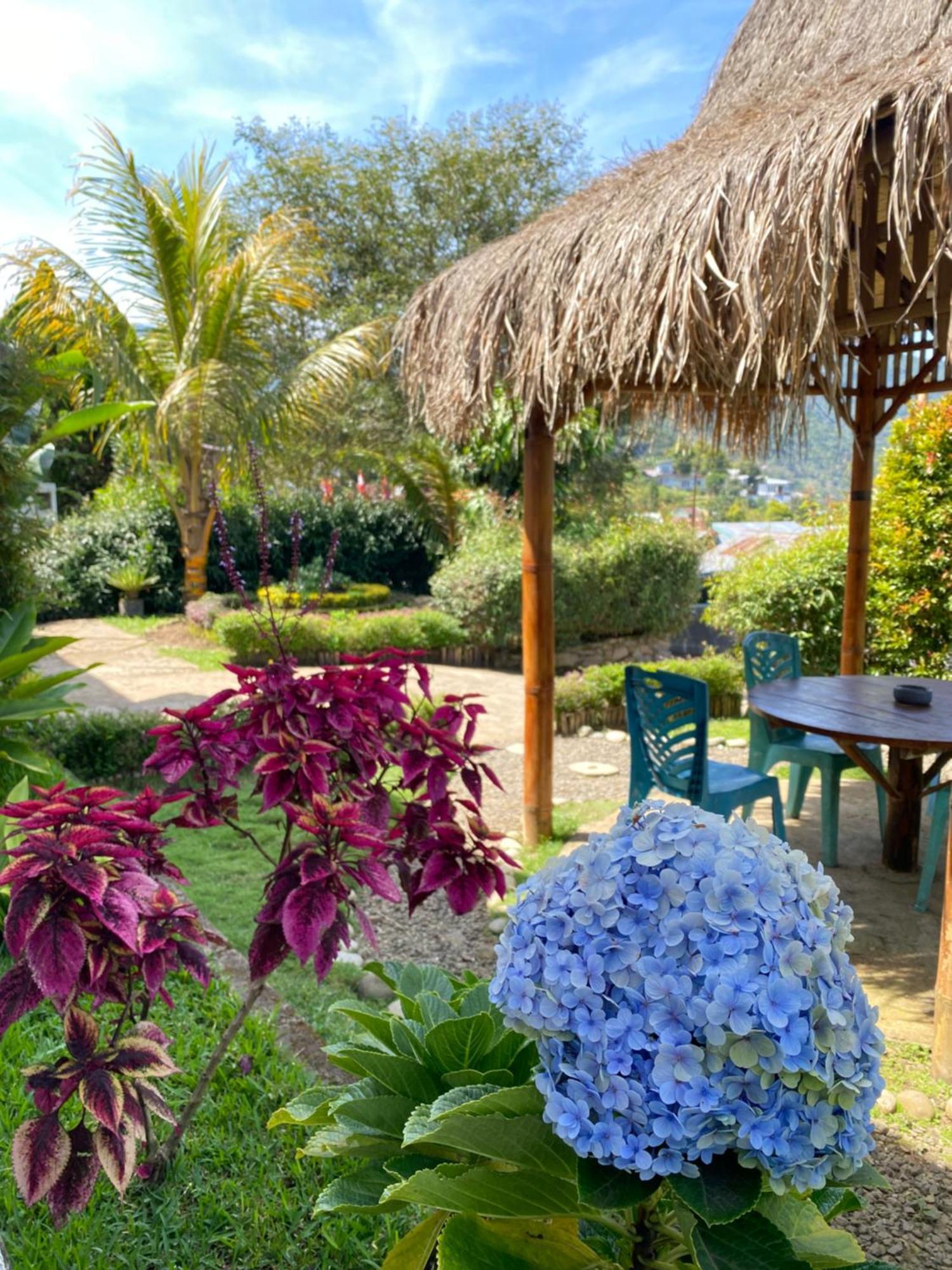 Mahoni Guest House كيليموتو المظهر الخارجي الصورة